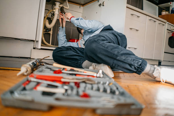 Best Sprinkler Systems  in Wadsworth, IL