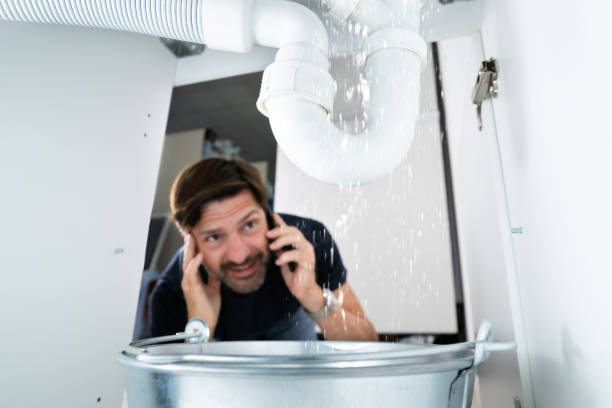 Best Affordable Plumber Near Me  in Wadsworth, IL