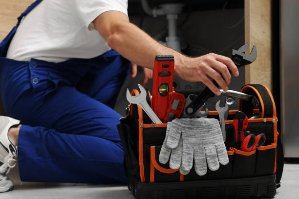 Best Best Plumbers Near Me  in Wadsworth, IL