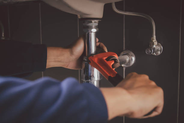 Best Residential Plumbing Services  in Wadsworth, IL